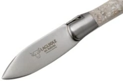 Laguiole En Aubrac Oyster C2I99CQHI Oyster Knife Oyster Shell -Kitchen Knife Shop AUC2I99CQHI 03 laguiole en aubrac