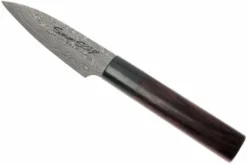 Eden Susumi SG2 Paring Knife, 10 Cm