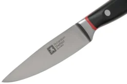 Richardson Sheffield Velocity 123BFCSB3117 Paring Knife, 10.5cm -Kitchen Knife Shop RFR123BFCSB3117 03 richardsonsheffield