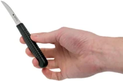 Spyderco Turning Knife K09PBK, 5.7 Cm 11 Spyderco Turning Knife K09PBK, 5.7 Cm -Kitchen Knife Shop SPK09PBKM 06 spyderco kitchen 1