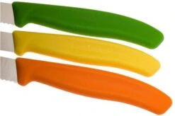 Victorinox SwissClassic Vegetable Knife Set, Set Of 3, 6.7116.31G -Kitchen Knife Shop VT6 7116 31G 04 victorinox vt6 7116 31g 04
