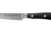 Wüsthof Ikon Paring Knife 9 Cm, 1010530409