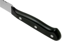 Wüsthof Gourmet Bread Knife 20 Cm, 1025045720 -Kitchen Knife Shop WU1025045720 05 wusthof v202102