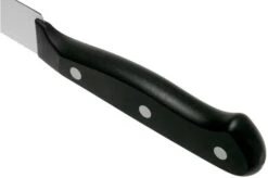 Wüsthof Gourmet Filleting Knife 16 Cm, 1025049116 12 Wüsthof Gourmet Filleting Knife 16 Cm, 1025049116 -Kitchen Knife Shop WU1025049116 04 wusthof v202101