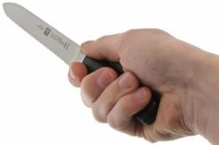 Zwilling 31070-130 Four Star Sausage Knife -Kitchen Knife Shop ZW31070 130 05 zwilling four star zw31070 130 05