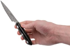 Bob Kramer By Zwilling Euro Stainless Paring Knife 10 Cm, 34890-101-0 -Kitchen Knife Shop ZW34890 101 0 06 zwilling bob kramer zw34890 101 0 06