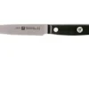Zwilling Gourmet Paring Knife 10 Cm, 36110-101