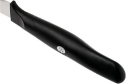 Zwilling Life Turning Knife 6 Cm, 38580-051-0 -Kitchen Knife Shop ZW38580 051 0 04 zwilling zw38580 051 0 04