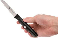 Zwilling Life Vegetable Knife, 38580-091-0 -Kitchen Knife Shop ZW38580 091 0 06 zwilling life zw38580 091 0 06