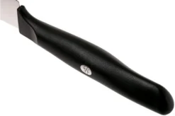 Zwilling Life Carving Knife, 38580-161-0 -Kitchen Knife Shop ZW38580 161 0 04 zwilling life zw38580 161 0 04