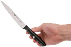 Zwilling Life Carving Knife, 38580-161-0 -Kitchen Knife Shop ZW38580 161 0 06 zwilling life zw38580 161 0 06