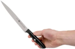 Zwilling Life Carving Knife 20 Cm, 38580-201-0 -Kitchen Knife Shop ZW38580 201 0 06 zwilling zw38580 201 0 06