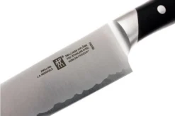 Zwilling Diplôme Carving Knife 23 Cm, 54205-241 10 Zwilling Diplôme Carving Knife 23 Cm, 54205-241 -Kitchen Knife Shop ZW54205 241 04 zwilling diplome zw54205 241 04